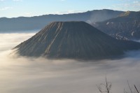 /album/java2/dsc-0119-jpg1/