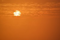 /album/flores1/dsc-0067-jpg/