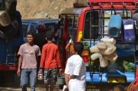 /album/flores1/dsc-0095-jpg/