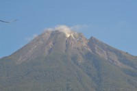 /album/flores1/dsc-0117-jpg/