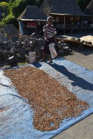 /album/flores1/dsc-0123-jpg/