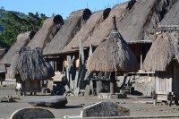 /album/flores1/dsc-0130-jpg/