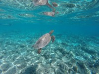 /album/lombok1/g1741584-jpg1/