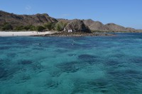 /album/komodo/dsc-0280-jpg/