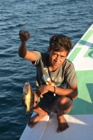 /album/komodo/dsc-0288-jpg/