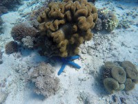 /album/komodo/g1171270-jpg/