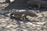 /album/dragontour/dsc-0237-jpg1/