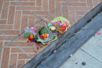 /album/java1/dsc-0091-jpg/