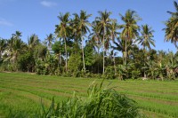 /album/java2/dsc-0021-jpg/