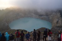 /album/flores1/dsc-0041-jpg/