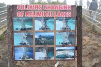 /album/flores1/dsc-0077-jpg/