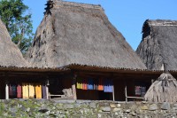 /album/flores1/dsc-0129-jpg1/