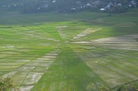 /album/flores1/dsc-0143-jpg/