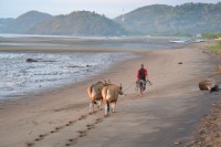 /album/flores1/dsc-0155-jpg/