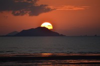 /album/flores1/dsc-0171-jpg/