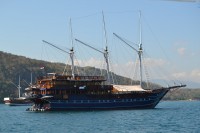 /album/komodo/dsc-0189-jpg/