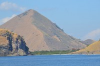 /album/komodo/dsc-0195-jpg/