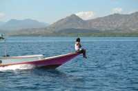 /album/komodo/dsc-0212-jpg/