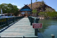 /album/komodo/dsc-0220-jpg/