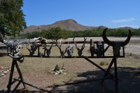 /album/komodo/dsc-0229-jpg/