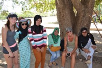 /album/komodo/dsc-0230-jpg/