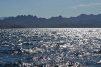 /album/komodo/dsc-0261-jpg/