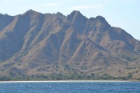 /album/komodo/dsc-0266-jpg/