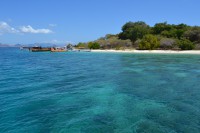 /album/komodo/dsc-0372-jpg/