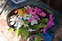 /album/lombok1/dsc-0079-jpg1/