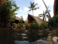 /album/lombok1/g1641528-jpg/