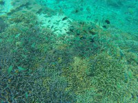 /album/lombok1/g2812155-jpg/