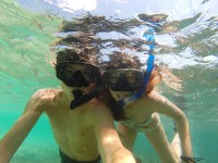 /album/komodo/g0951148-jpg/