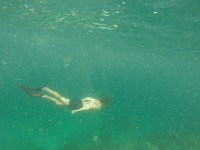 /album/komodo/g1001176-jpg/