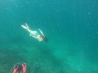 /album/komodo/g1031192-jpg/